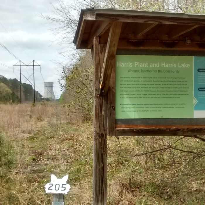 Near Red Fox Run Interpretive Trail