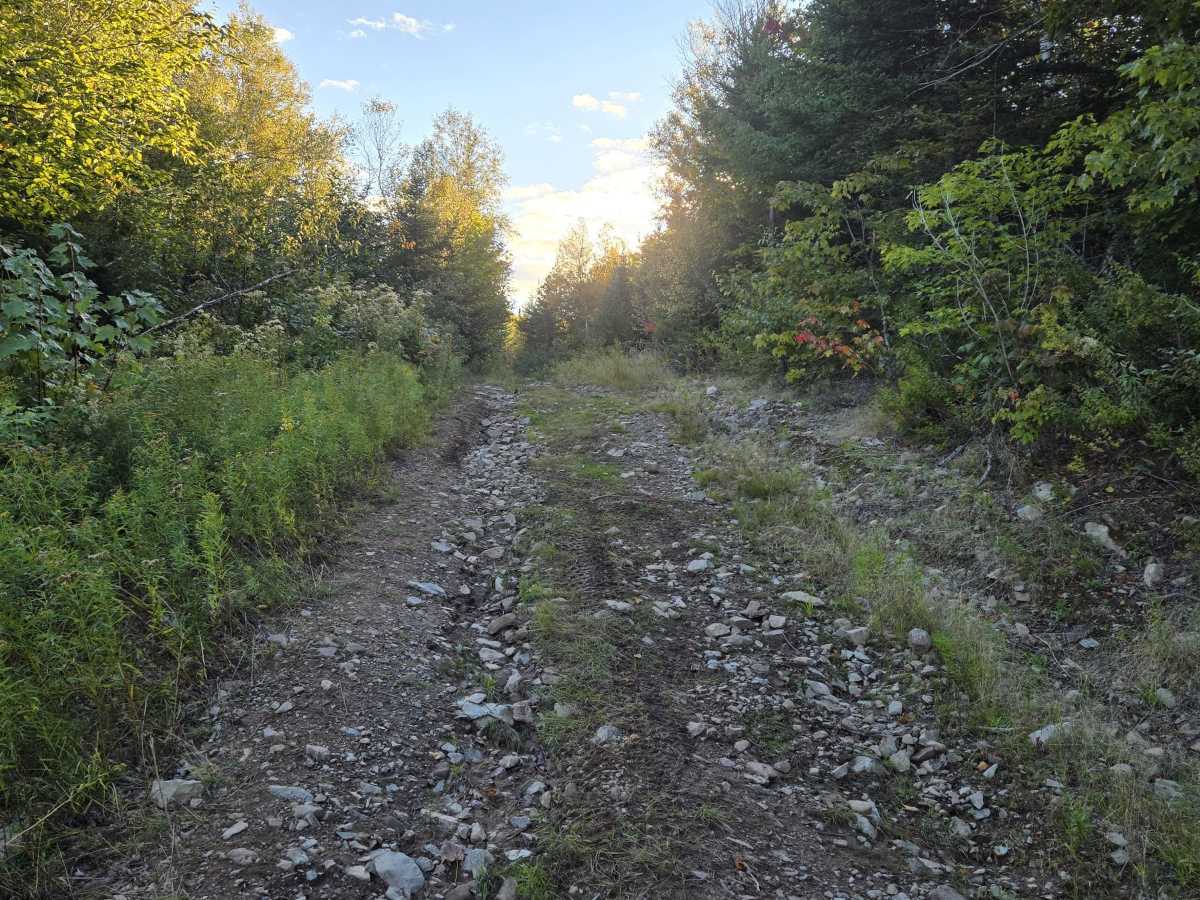Stanyard Lake - Caledonia Mountain photo 5
