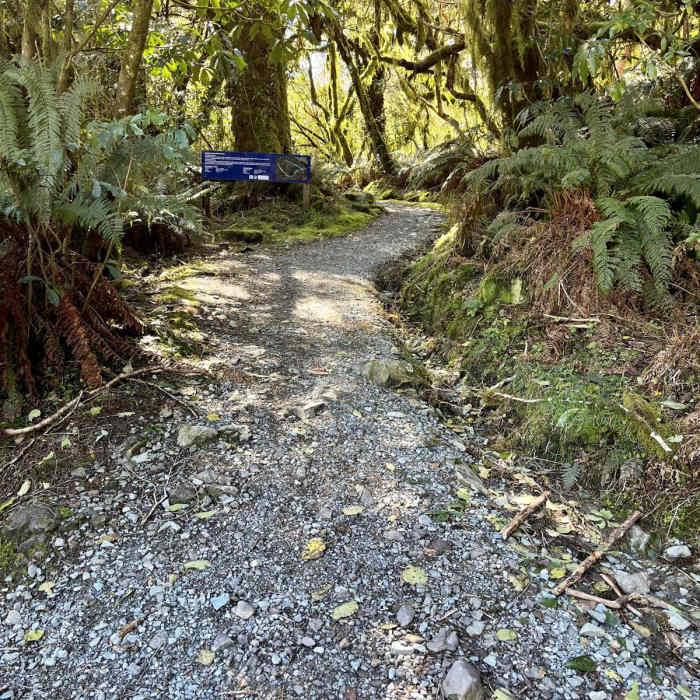 Near Key Summit and View of Lake Marian via Routeburn Track