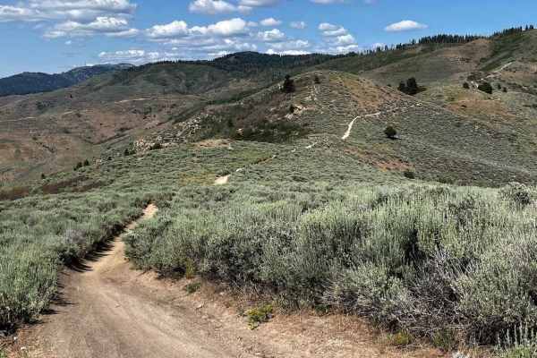 Femrite's Patrol Trail 6