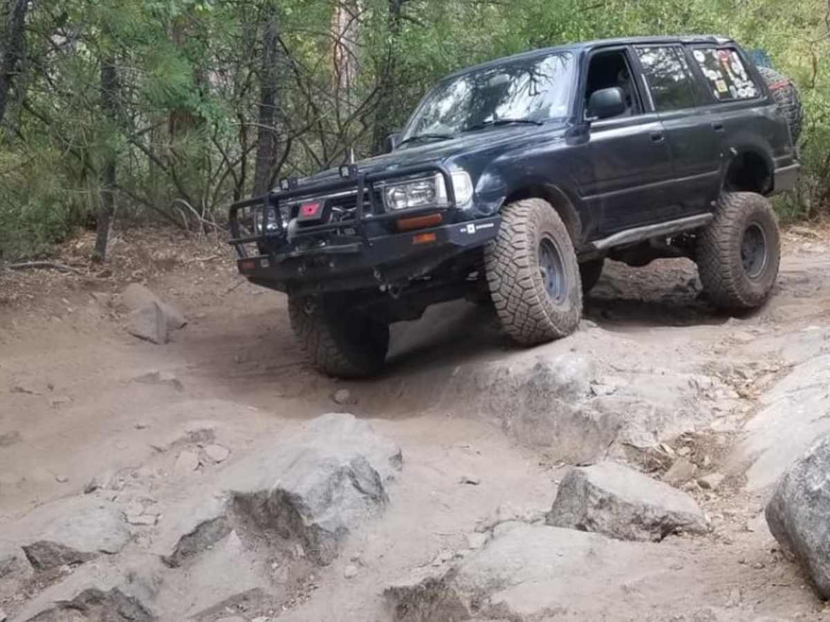 Sourgrass Trail trail photo
