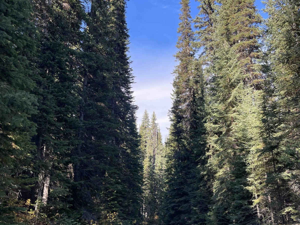 Bolean Lake Road photo 2