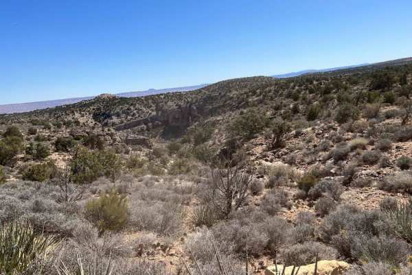Segmiller - Sunshine Trail Interconnect