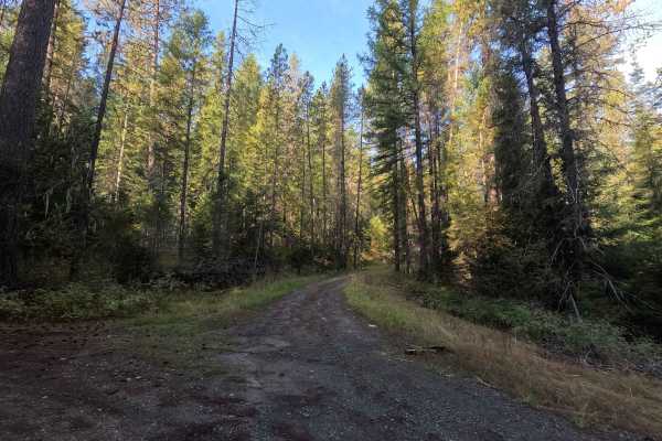 Kidney Pond Road