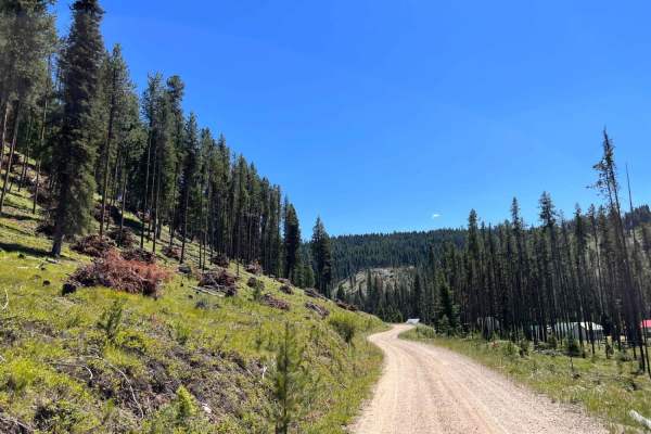 Little East Fork