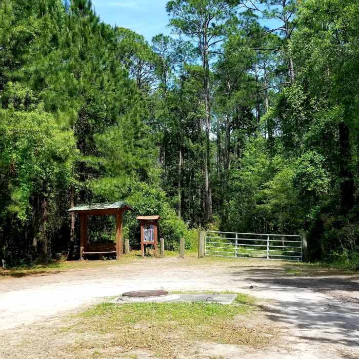 This is the entrance into the wooded part of the trails. Near Losco Regional Park Trails