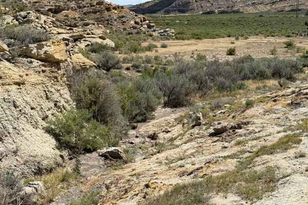 Picnic Area Trail