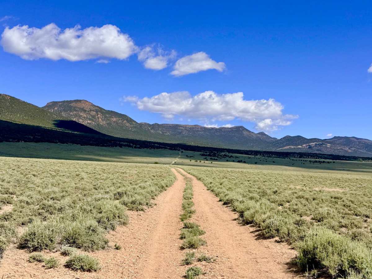 Tulle Creek Road - FS 44422 photo 2