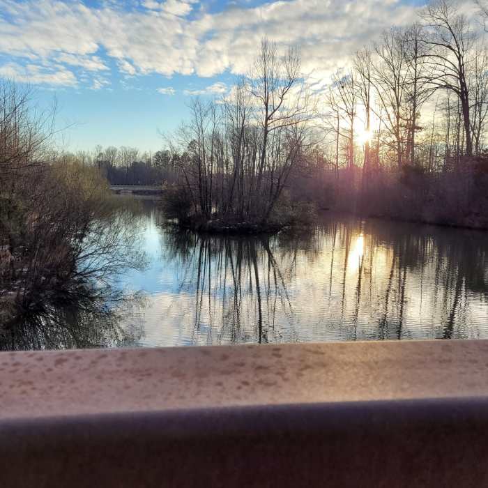View from a wooden bridge along the trail. Near Village Point Greenway