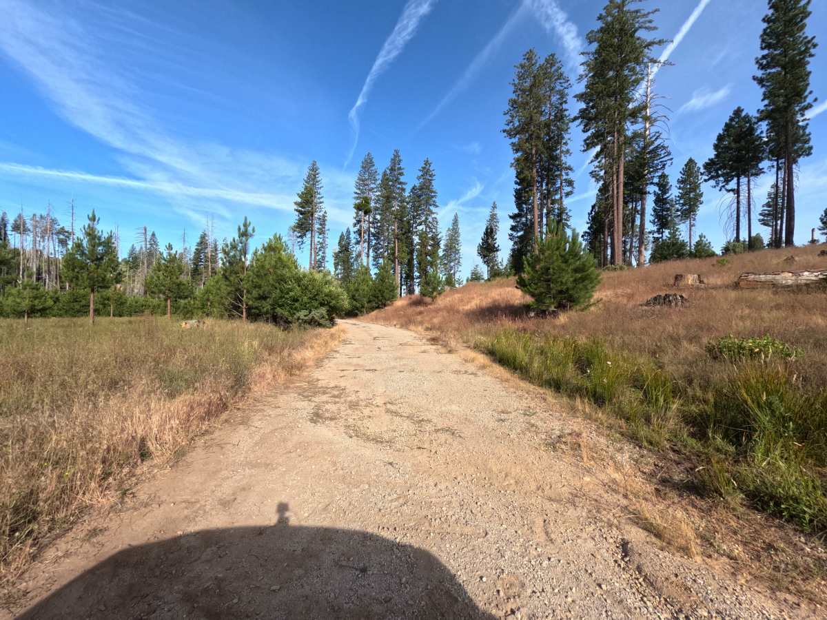 Sawmill Mountain Rd - 1S03 photo 4