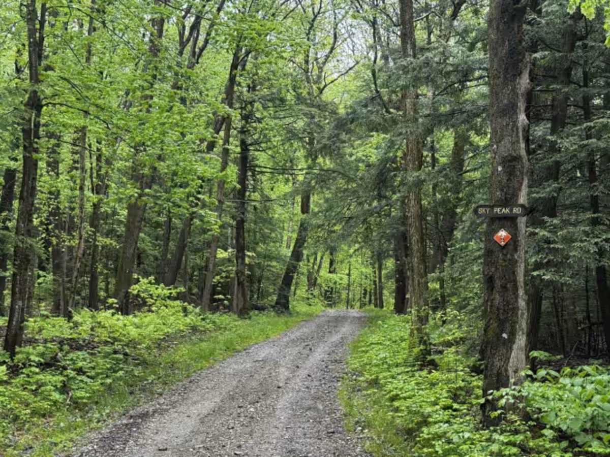 Sky Peak Road photo 5