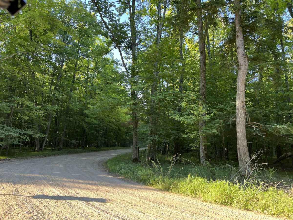 Trail FIT - FR 13044 photo 3