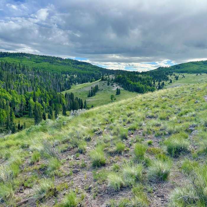 Near Continental Divide Trail: New Mexico Section 30