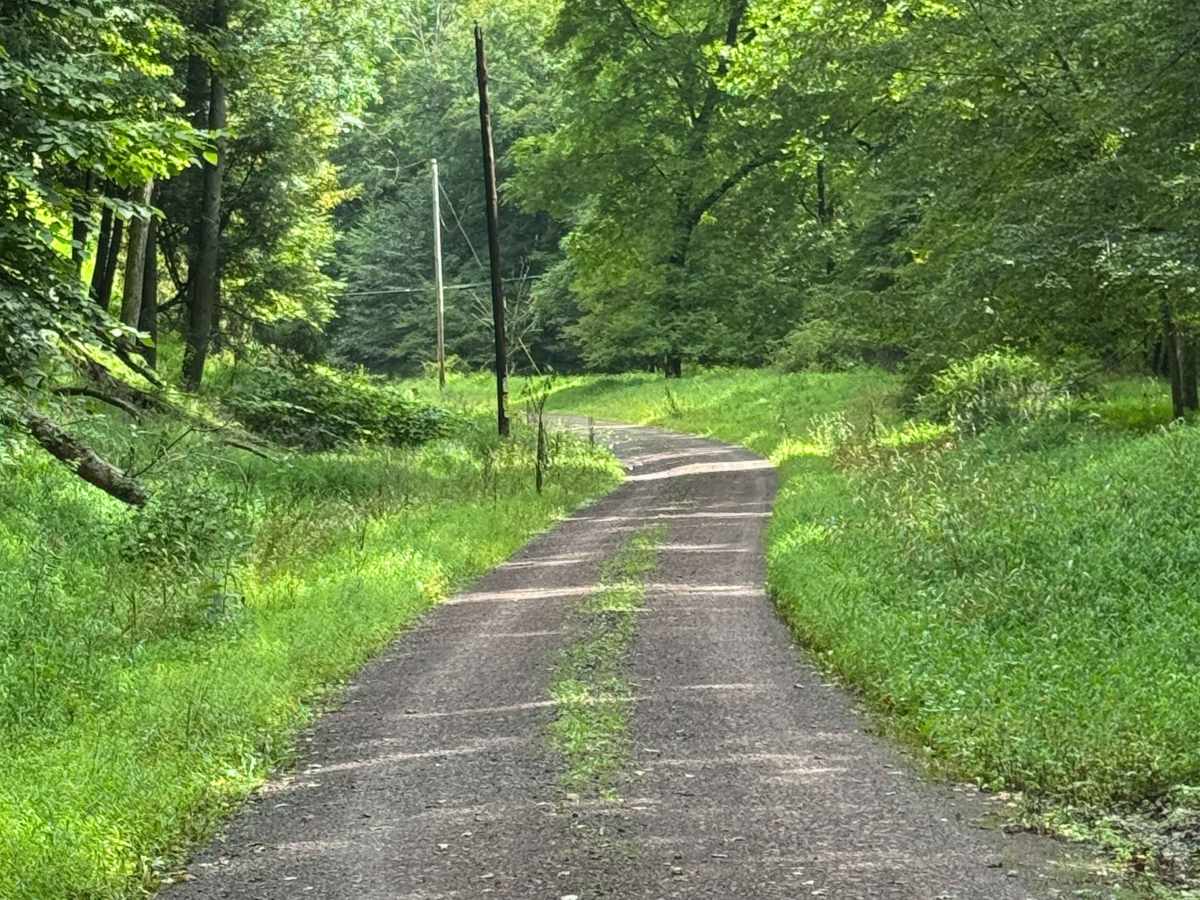 Rock Run Road photo 2