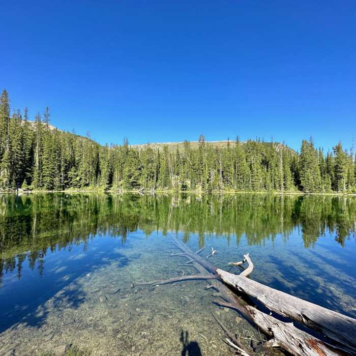Near Continental Divide Trail: Montana-Idaho Section 15