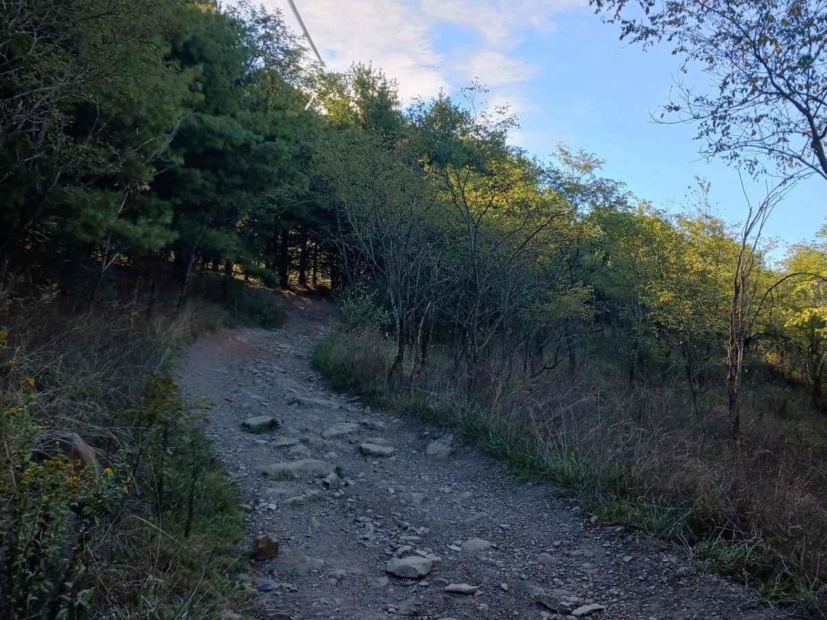 Inner Loop - West - Rock Run Recreation Area photo 4