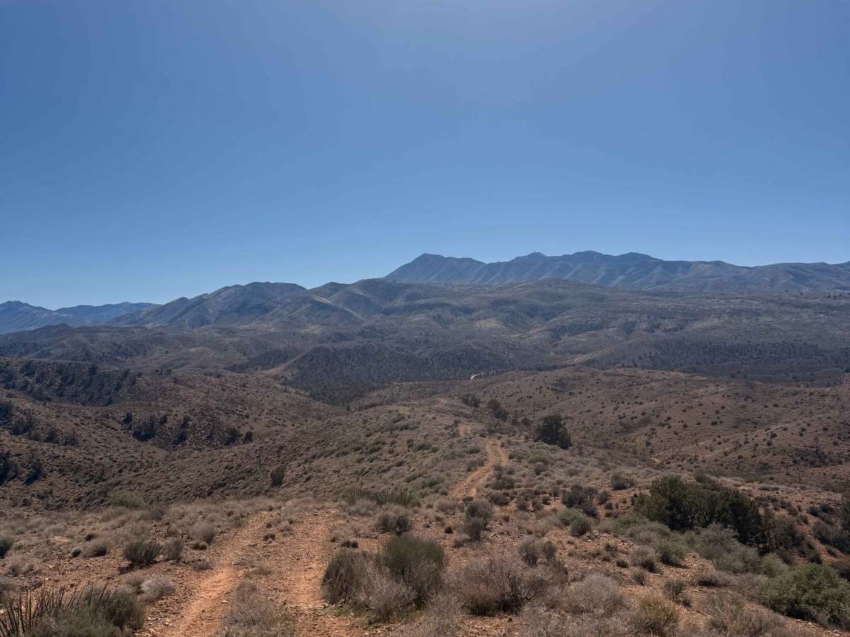 Ridgeline Romp trail photo