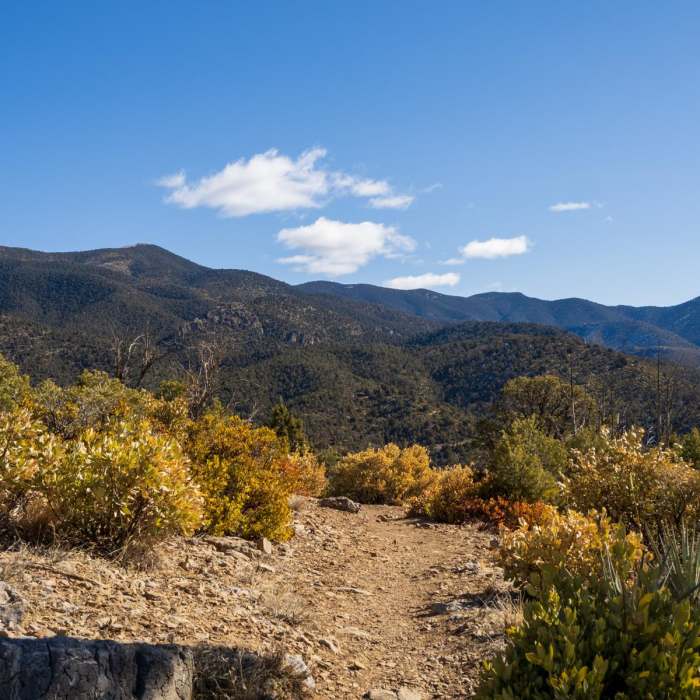 Near Lovell Canyon Trail