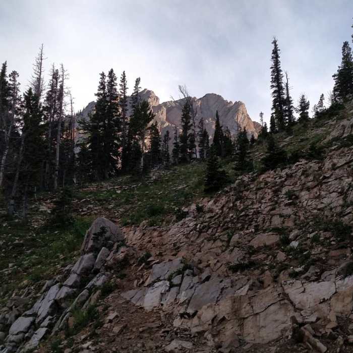 Near Fairy Lake to Sacagawea Peak