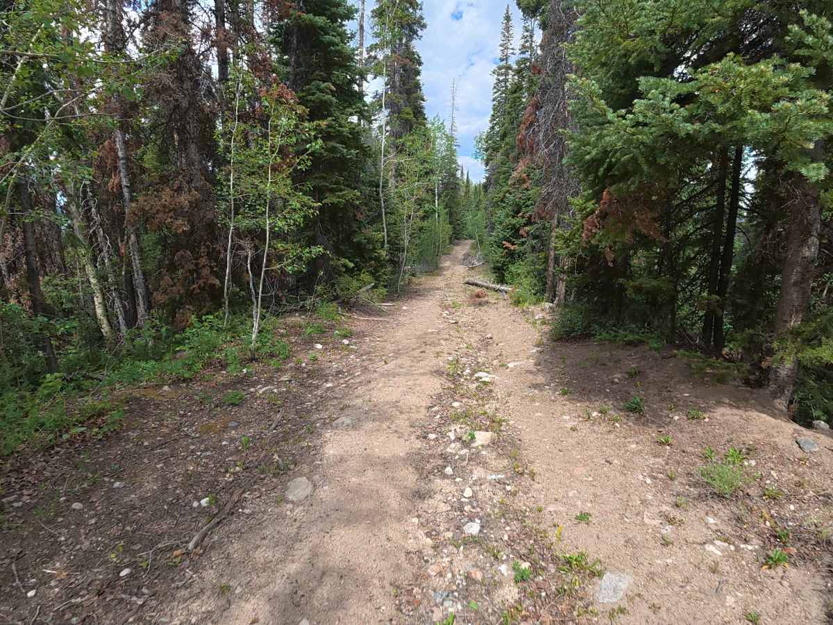 Eagle Rock Road - FS 284 photo 2