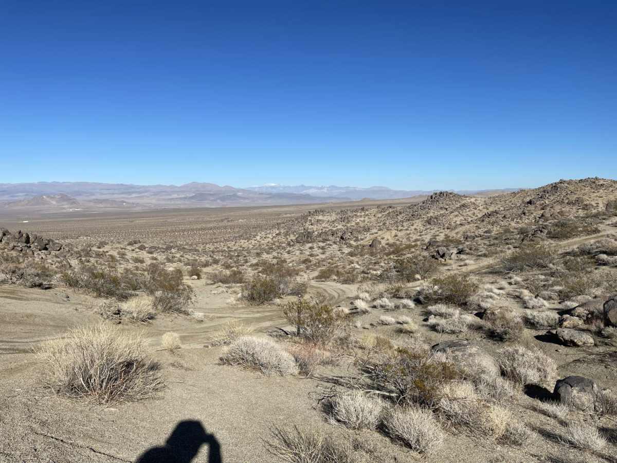 Viejo Road photo 4