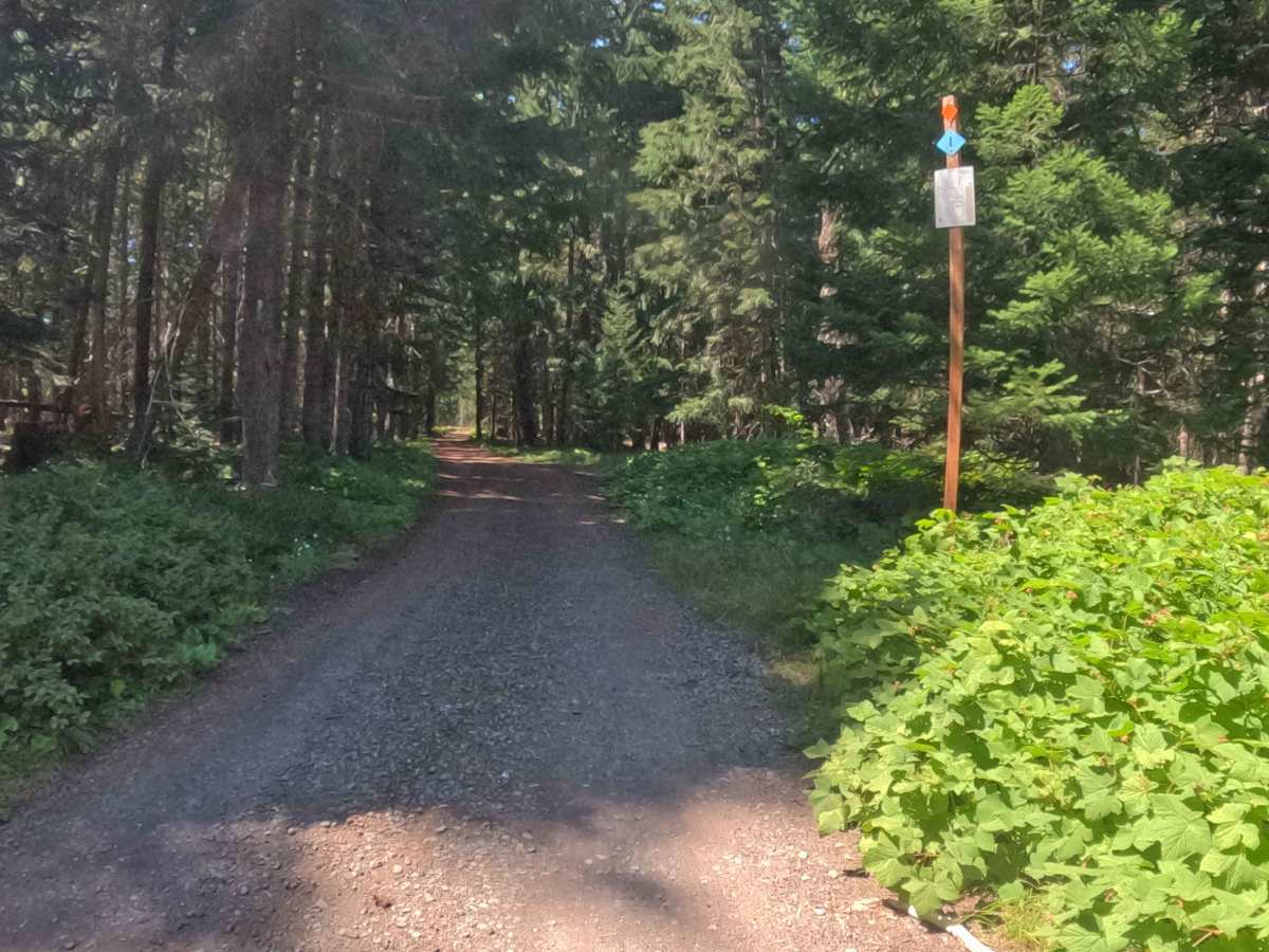 FS 2200090 trail photo