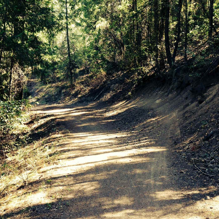 Near Winthrop Trail