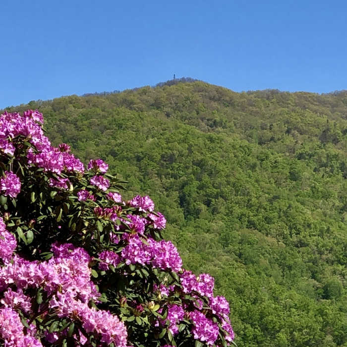 Near Fontana Dam - Shuckstack Fire Tower