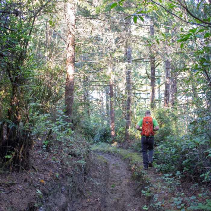 Near Lily Lake Trail