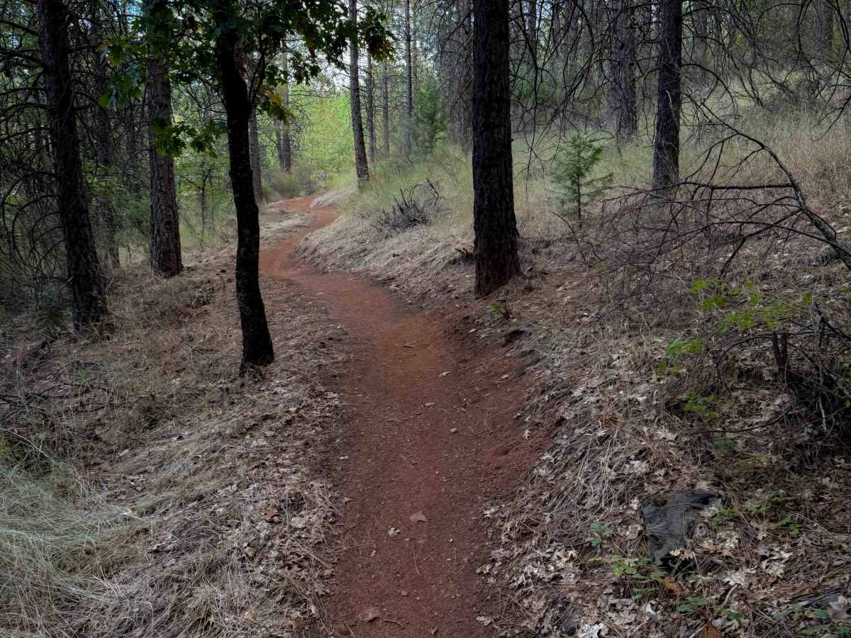 Berry Creek Tie  photo 6