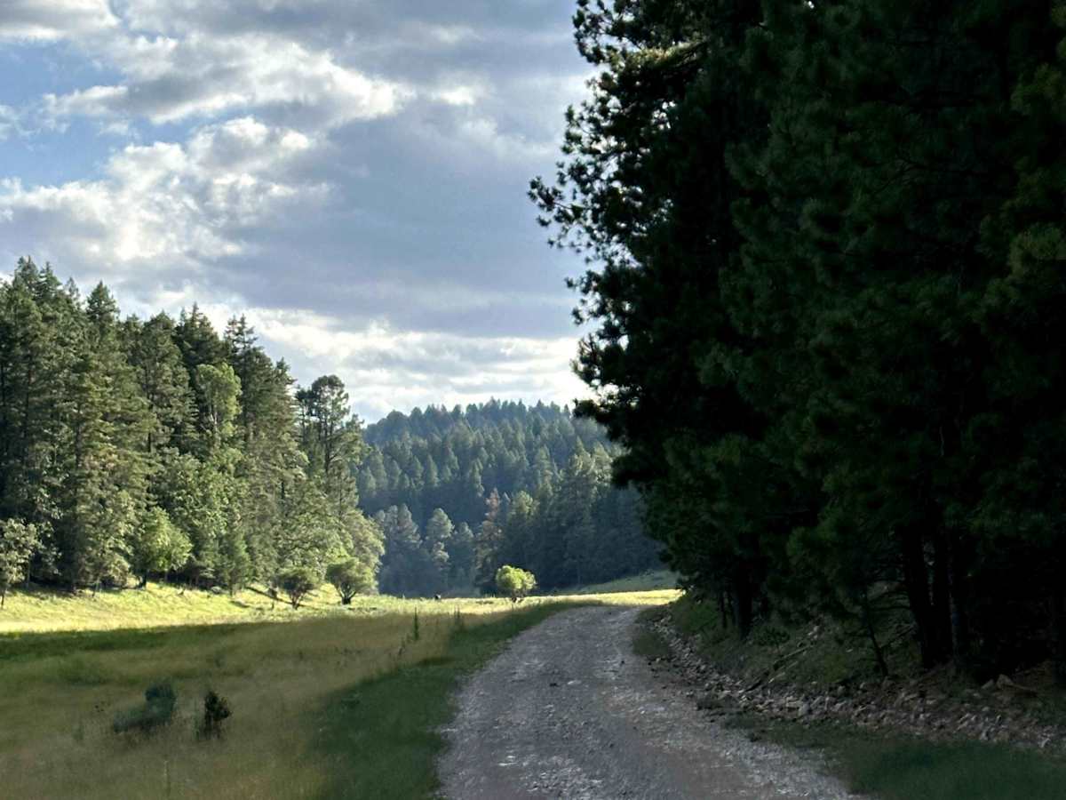 Perk Canyon trail photo
