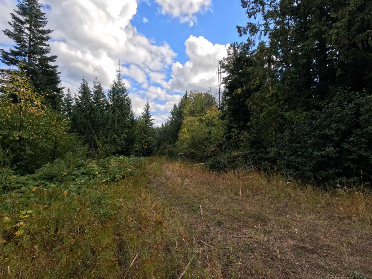 Ole Creek - FS 1092 trail photo