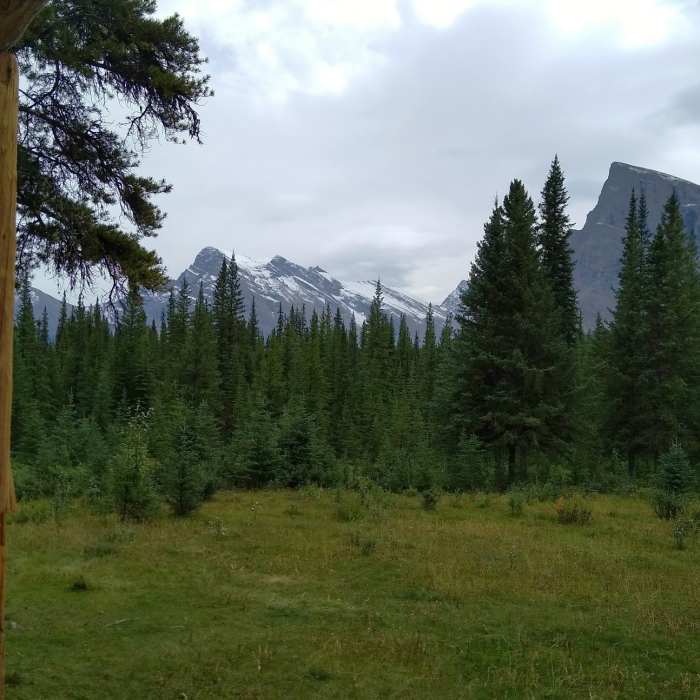 Near Blue Creek Warden Cabin Spur