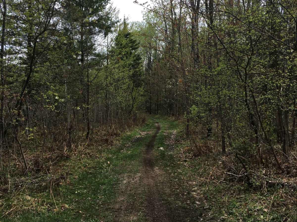 Atlanta Trail's - Center Loop photo 6