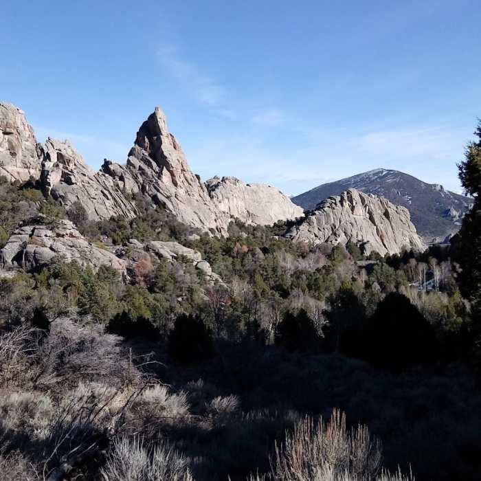 Near North Fork Circle Creek Trail