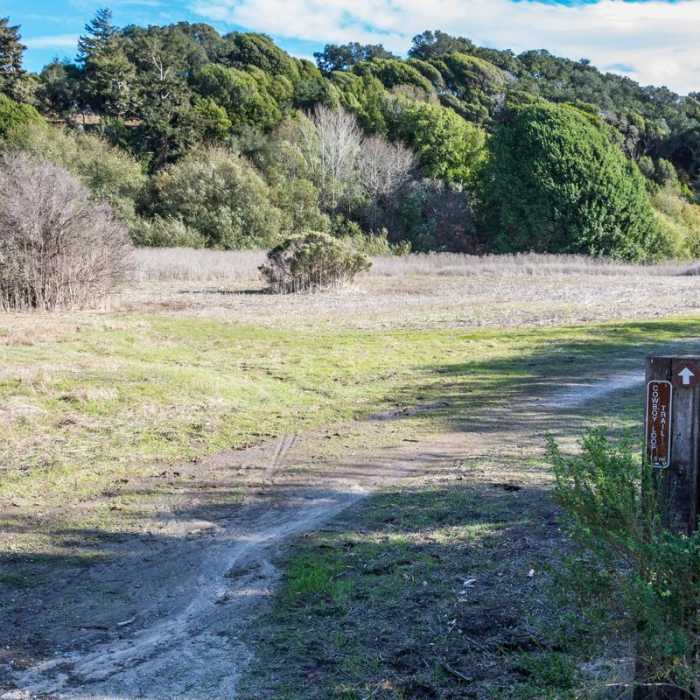 Near Cowboy Hiking Trail