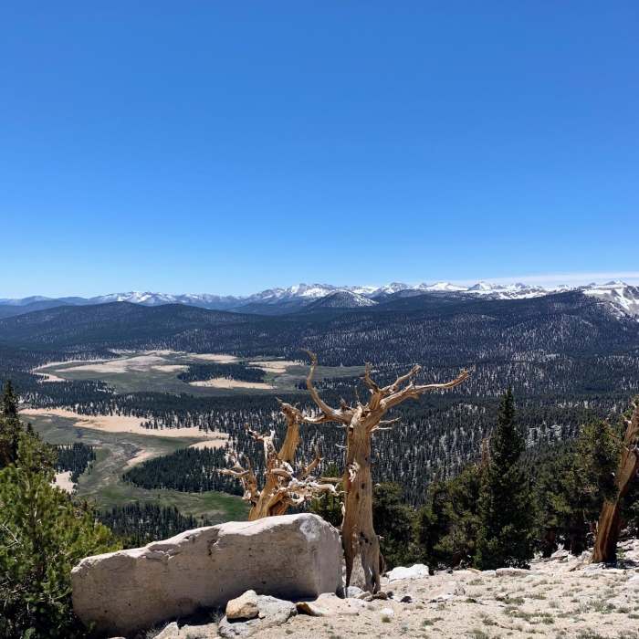 Near Chicken Spring Lake Loop