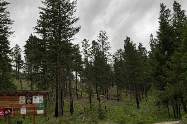 Cougar Lake Road