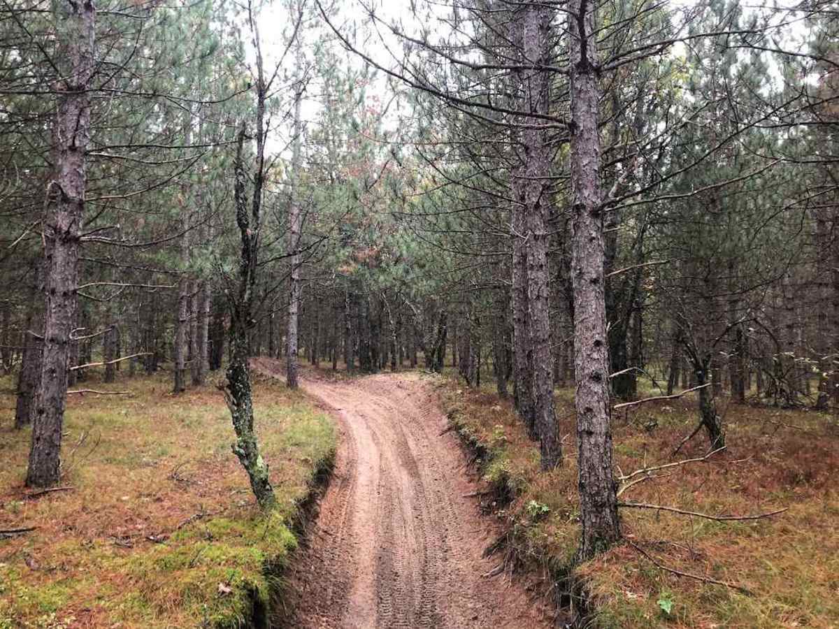Little "O" Motorsport Trail photo 2