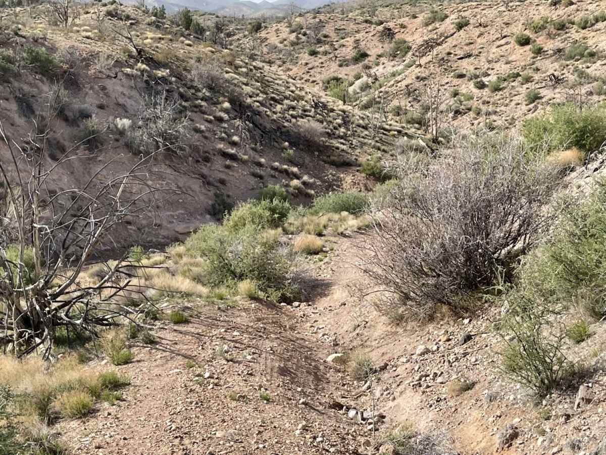 Up & Out Of Oak Patch Wash photo 6