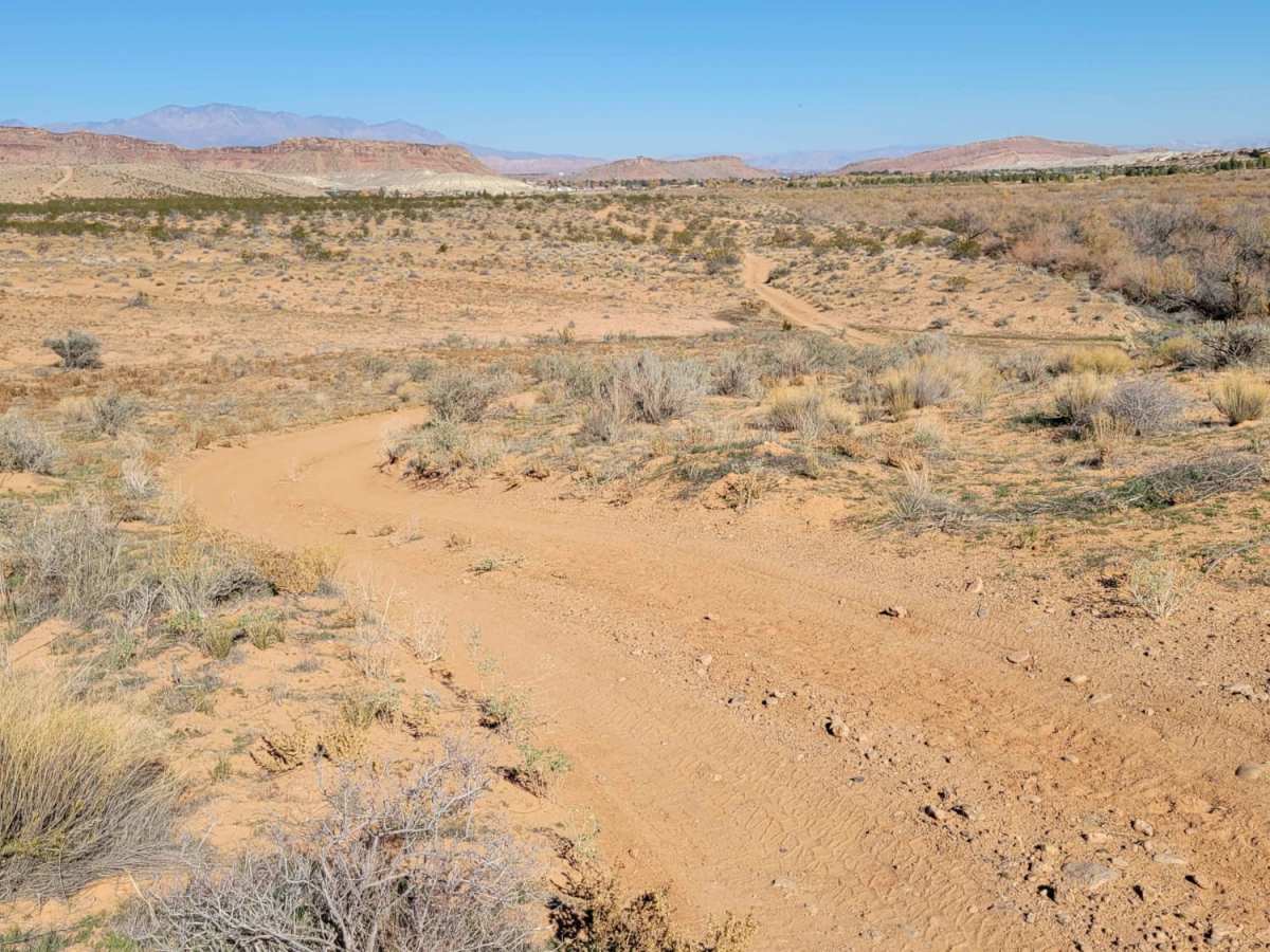 Curly Hollow Wash photo 2
