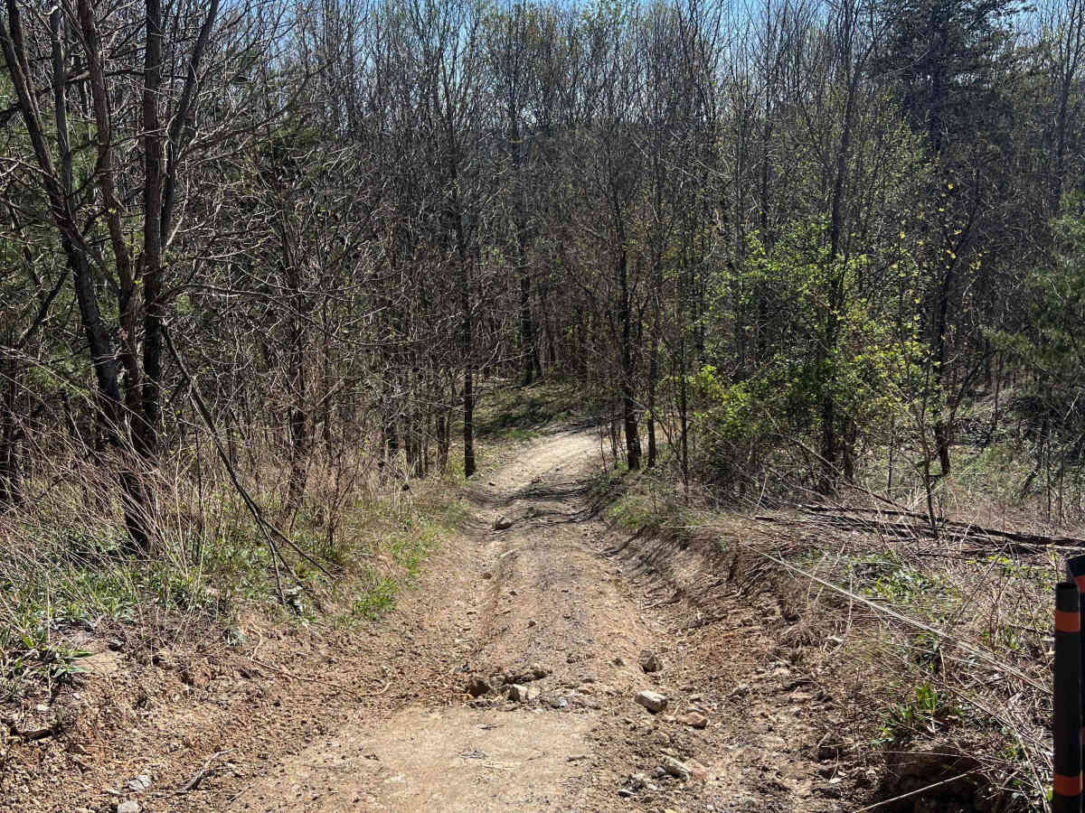 Q36 trail photo