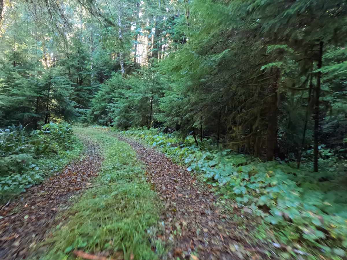 FS 8322700 trail photo