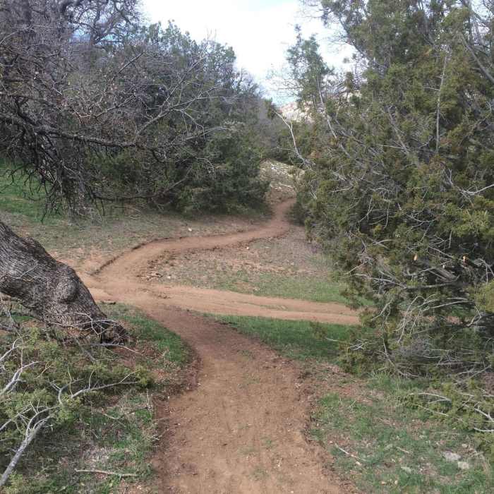 Near Jane's Loop