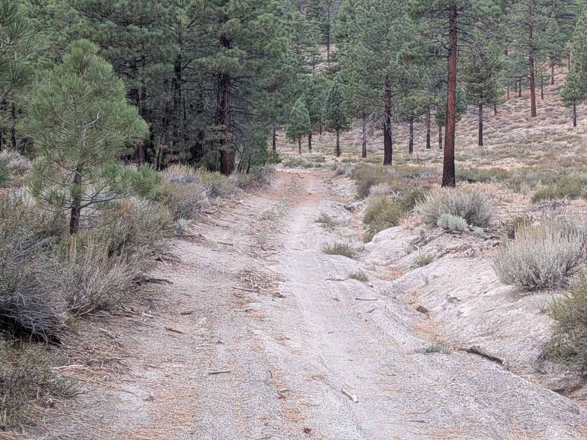 Pumice Canyon Cutoff - FS 3S42 photo 3