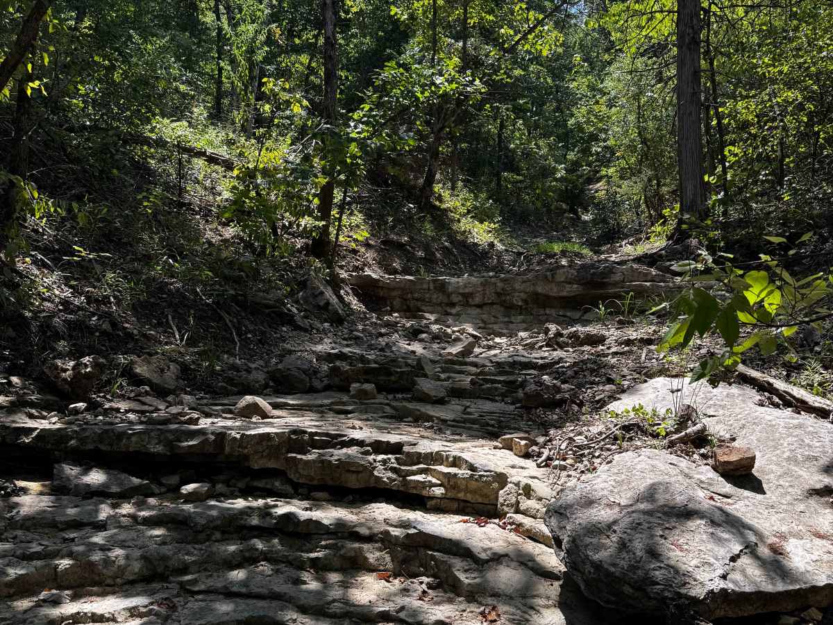 Hill Climb 9+ trail photo