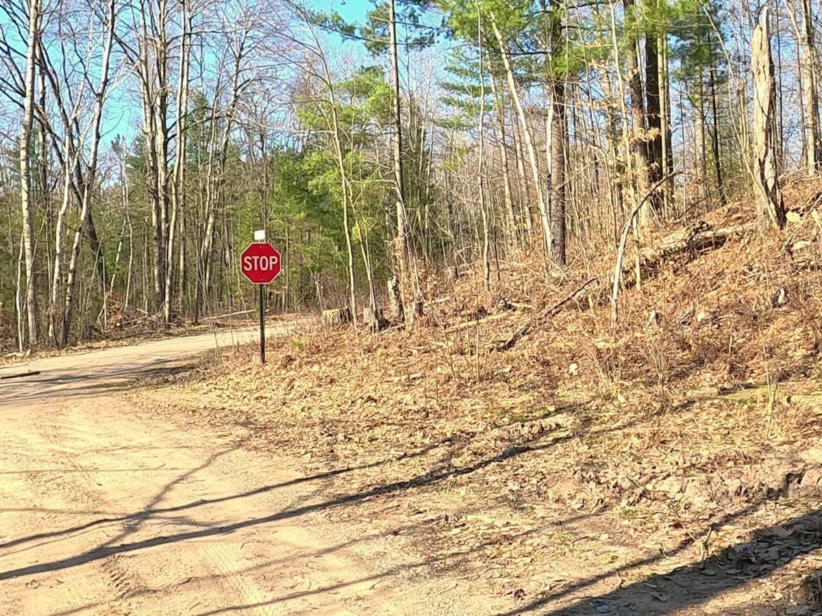 Tabor Rd - FS 4597 photo 4