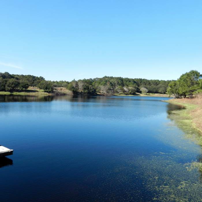 Lake. Near Jarvis Creek Leisure Loop