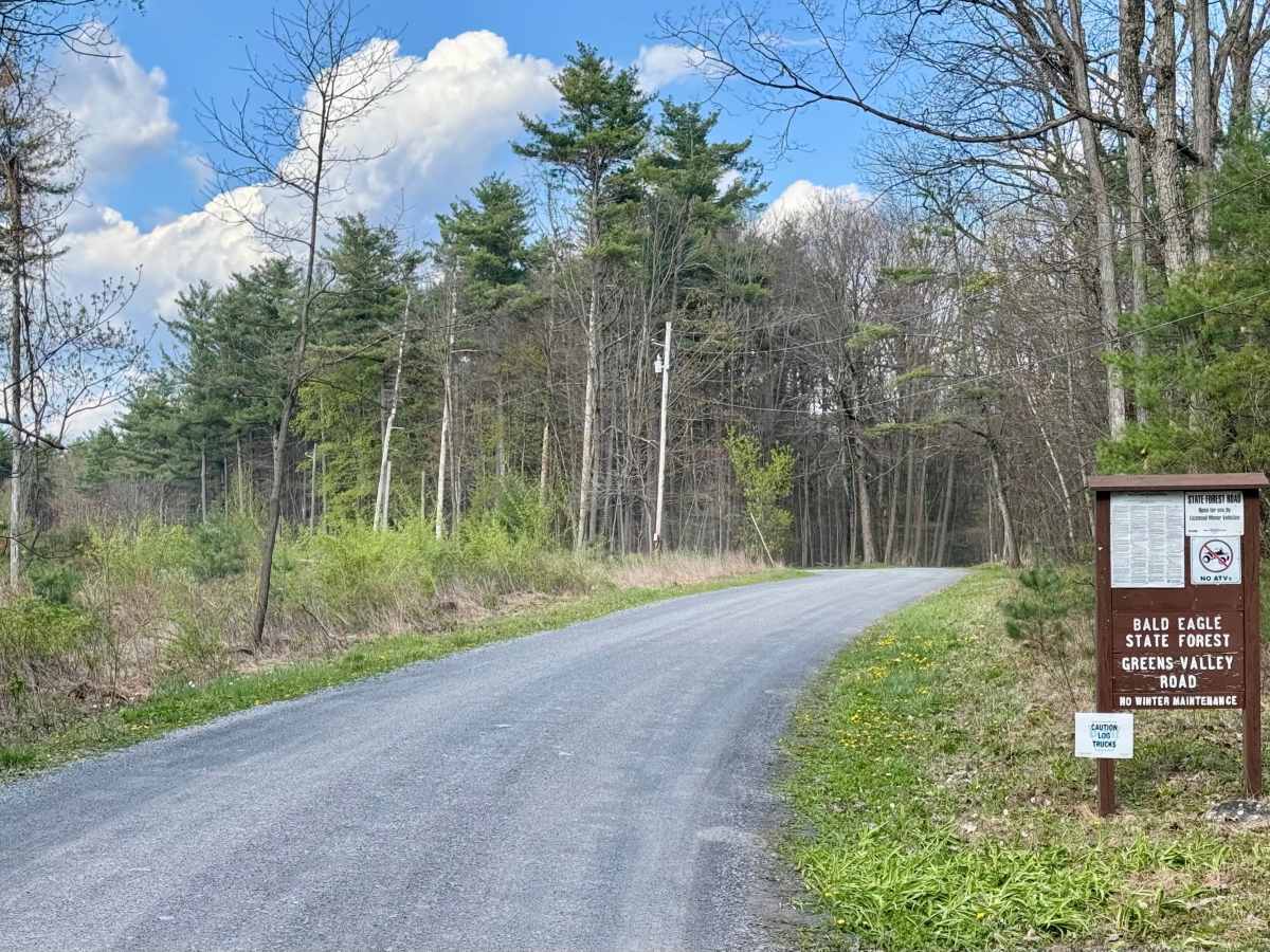 Greens Valley Road trail photo