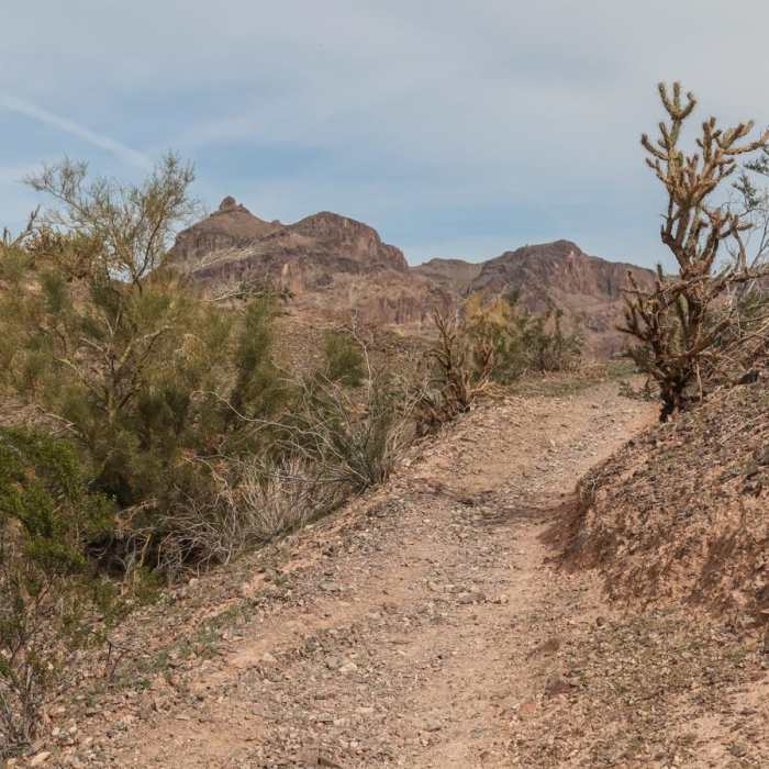 Near Wedge Hill Trail